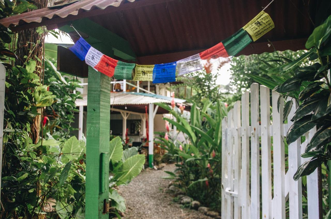 Casa Bohoe Puerto Viejo de Talamanca Екстер'єр фото