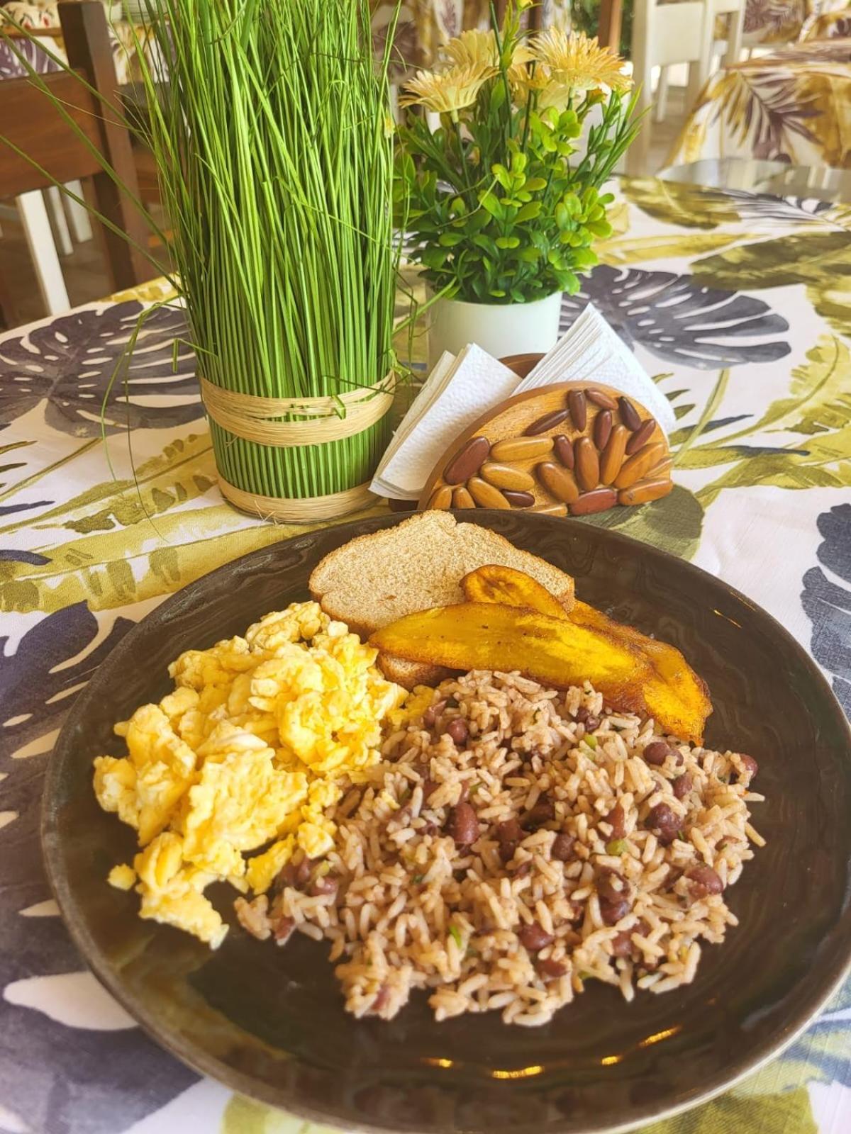 Casa Bohoe Puerto Viejo de Talamanca Екстер'єр фото